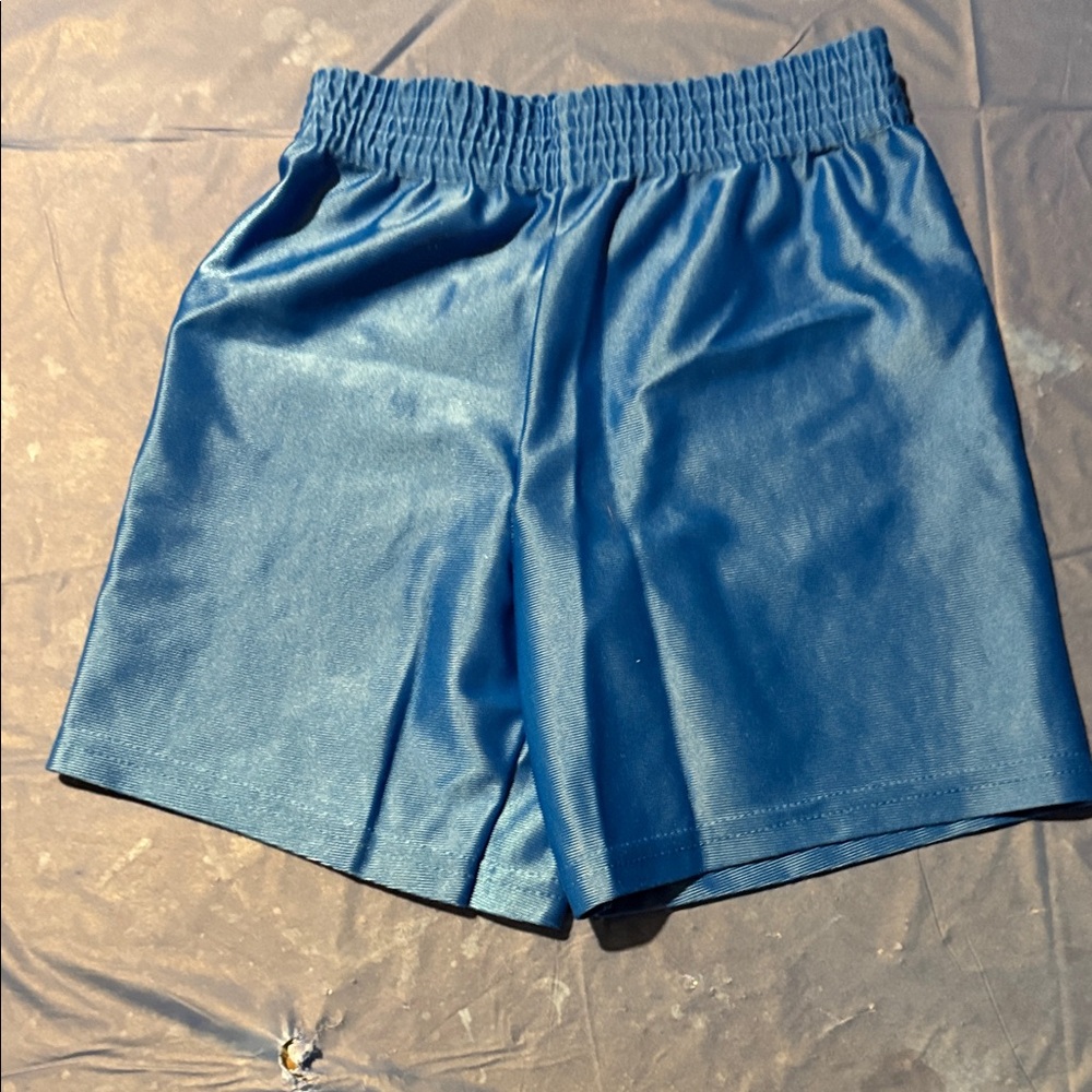 Garanimals Blue Kids Shorts